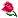 Rose (1K)